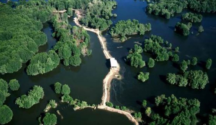 Rừng nguyên sinh Bình Châu - Phước Bửu