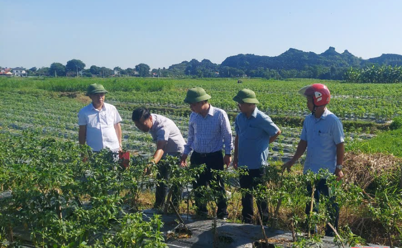 Tây Ninh Khởi Động AgriS Agro Day 2025: Xây Dựng Tương Lai Nông Nghiệp Công Nghệ Cao