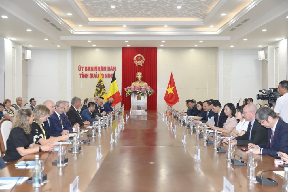 Hải Phòng Tăng Cường Hợp Tác Đầu Tư Với Doanh Nghiệp Hàn Quốc