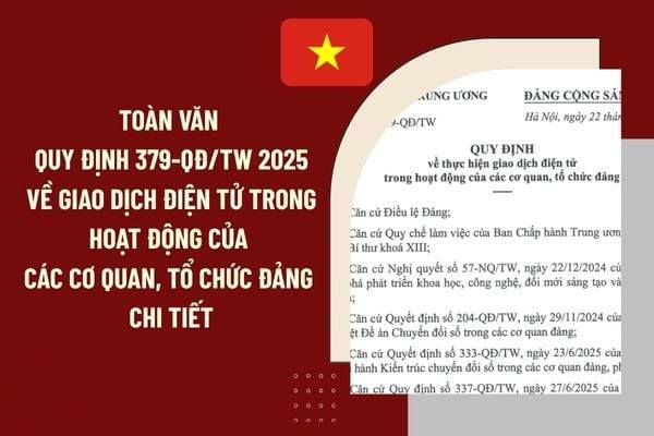 Hạ Tầng Doanh Nghiệp: Cần Tập Trung Vào Tổ Chức Đảng Để Đảm Bảo Hiệu Quả
