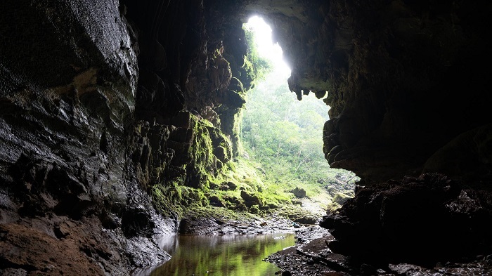 Có thể đi bộ đường dài, leo trèo đá tảng và ngủ lề